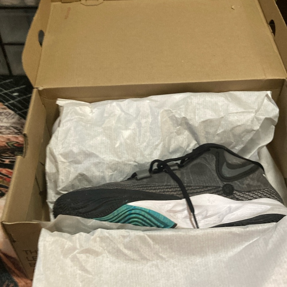 Kyrie orca